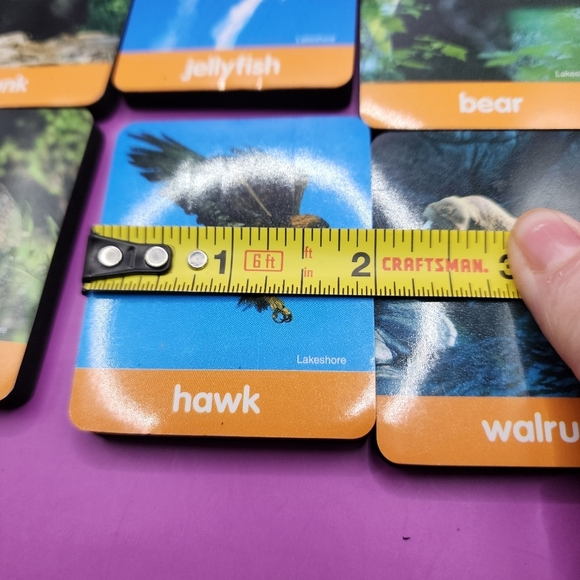 47 pc Animal Themed Foam Magnets 2.5x2" Rectangular Children Learning Education - Picture 3 of 5